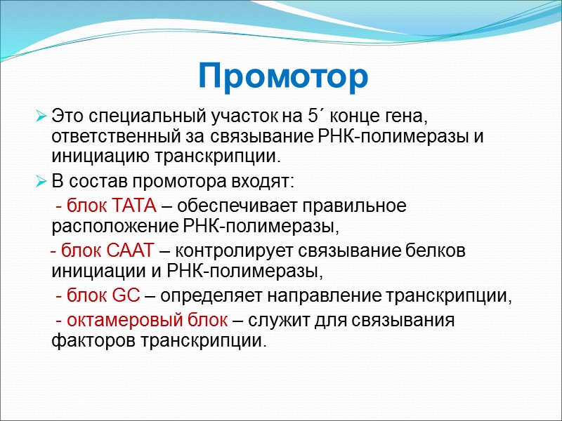 Промотор Это специальный участок на 5´ конце гена, ответственный за связывание РНК-полимеразы и инициацию